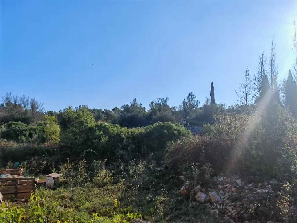 pere zemljište.webp