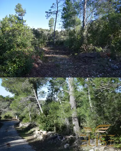 LANDWIRTSCHAFTLICHES GRUNDSTÜCK – 5 MINUTEN VON VELA LUKA ENTFERNT – 5.801 m² | 10 €/m²