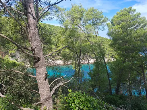 MEHRERE BAUGRUNDSTÜCKE MIT EINER GESAMTFLÄCHE VON 6.160 m² – BUCHT ŽUKOVA