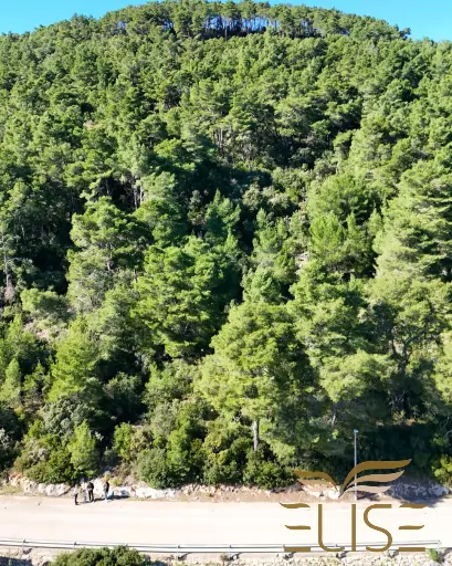 Baugrundstück in Smokvica – Natur, Ruhe und Blick auf die Weinberge, €65.000