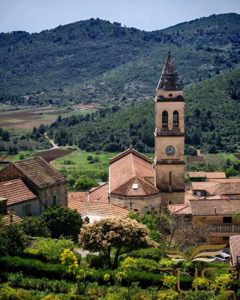 smokvica zemljište 5.webp