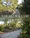 LANDWIRTSCHAFTLICHES GRUNDSTÜCK – 5 MINUTEN VON VELA LUKA ENTFERNT – 5.801 m² | 10 €/m²