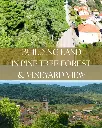 Building Plot in Smokvica – Nature, Peace, and Vineyard Views, €60000