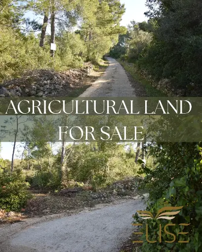 LANDWIRTSCHAFTLICHES GRUNDSTÜCK – 5 MINUTEN VON VELA LUKA ENTFERNT – 5.801 m² | 10 €/m²